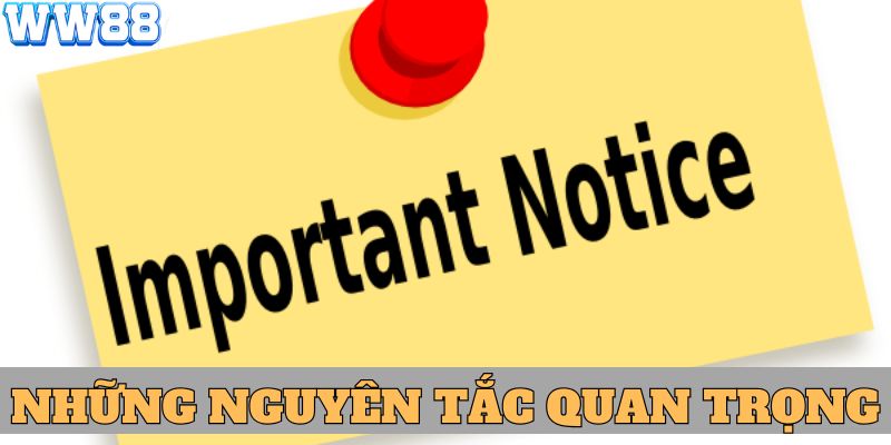 Những nguyên tắc quan trọng cần tuân thủ 